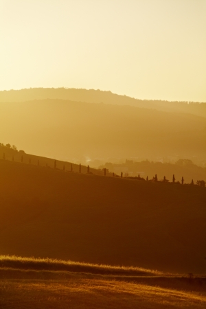 Landscape in Tuscany at sunset in summer の写真素材