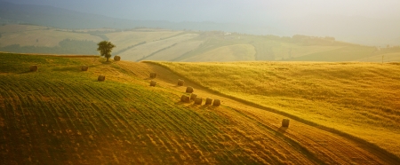 Scenic view of Tuscany landscape, Italy .  Nature background