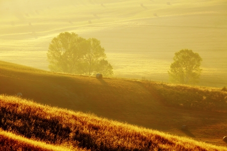 View of typical Tuscany landscape 