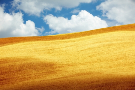 image of typical tuscan landscape の写真素材