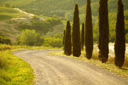 Typical landscape in Val d'Orcia ( Tuscany, Italy) at summer. Road .の写真素材