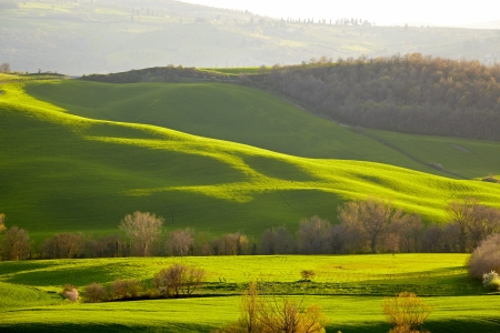 Spring Tuscanyの写真素材