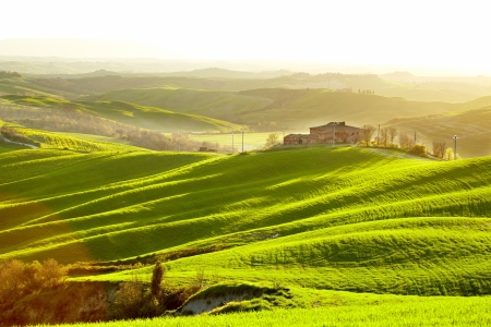 Countryside, San Quirico d Orcia , Tuscany, Italy の写真素材