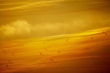 Scenic view of typical Tuscany landscape, Italy 