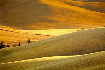 Scenic view of typical Tuscany landscape, Italy 