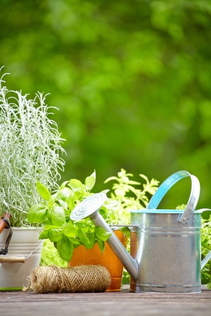 Outdoor gardening toolsの写真素材