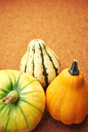 Decorative pumpkin isolated on brown background. Halloween and harvest symbol. の写真素材