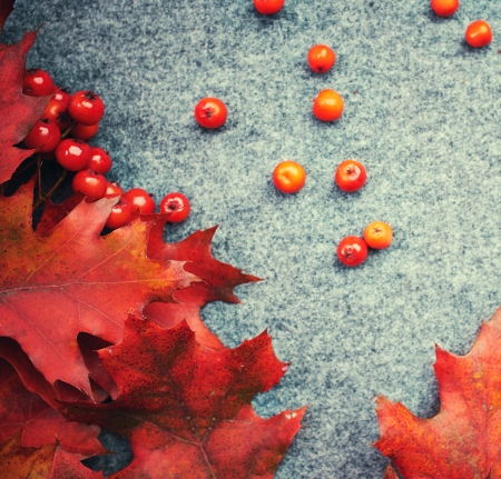 Autumn backgroundの写真素材