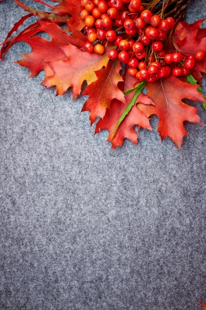 Autumn backgroundの写真素材