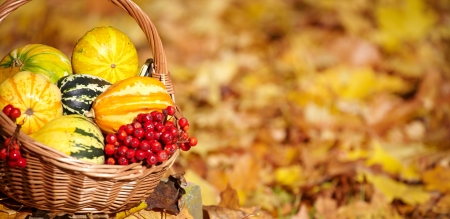 Autumn gardening background の写真素材