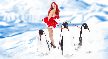 Pin-up fashion woman with penguin の写真素材