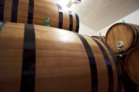 Wine barrels in a old wine cellar 