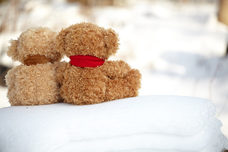 two teddy bears on a snow around each の写真素材