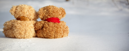 two teddy bears on a snow around each の写真素材