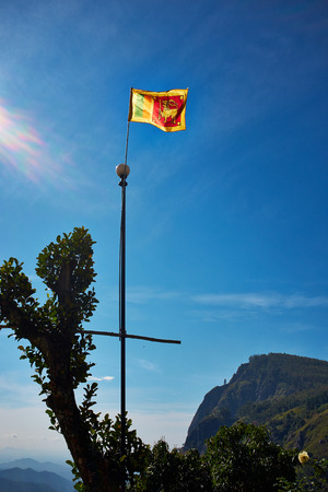 Flag in Landscape with green fields of tea in Sri Lanka の写真素材