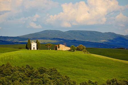 Countryside, San Quirico d`Orcia , Tuscany, Italyの写真素材