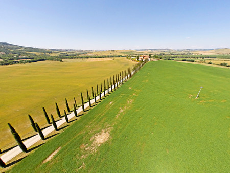Tuscany cypresses  from sky viewの写真素材