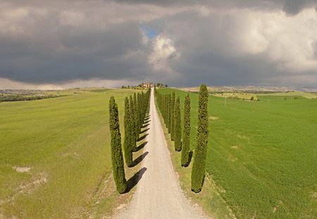Tuscany cypresses  from sky viewの写真素材