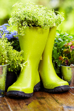 Gardening tool in rainの写真素材