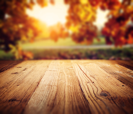 autumn background