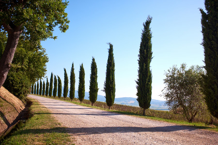 Country road in Tuscany, Italy の写真素材