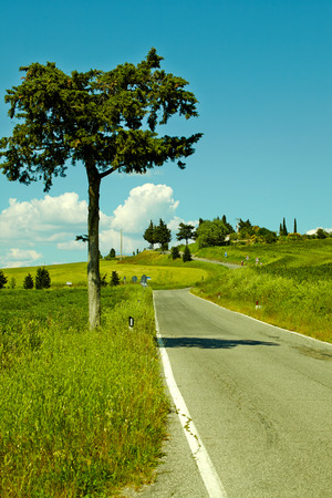 Country road in Tuscany, Italy の写真素材