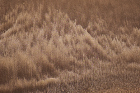 Structure sand background. Designs drawn water.