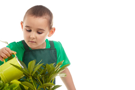Little gardener boy, isolated on whiteの写真素材