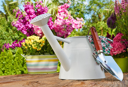 Gardening tools and flowers  on the terrace in the gardenの写真素材