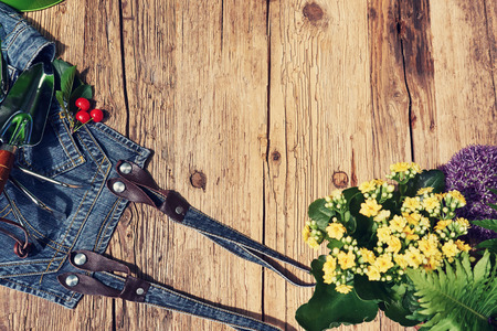 top view of gardening tools lying on the terraceの写真素材