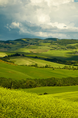 Green Tuscany hillsの写真素材