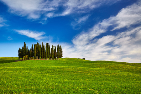 Tuscany hillsの写真素材