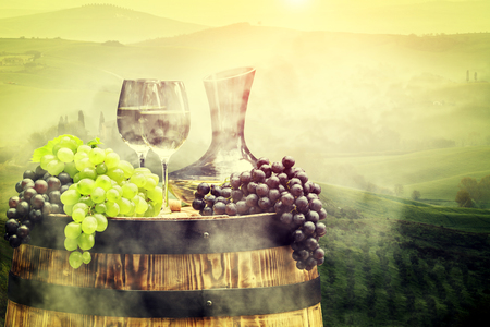 White wine with barrel on vineyard in Chianti, Tuscany, Italyの写真素材