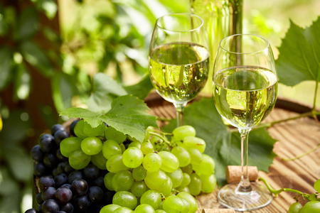 Grape and white wine on wooden barrel on garden terraceの写真素材