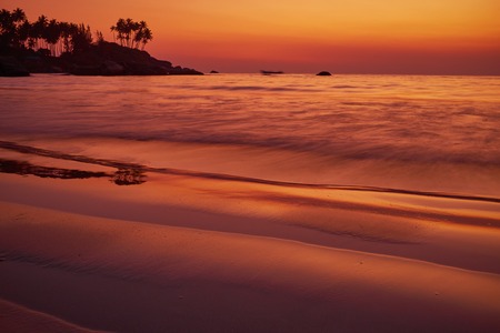 Beautiful sunset  in Indian Goa with palmの写真素材