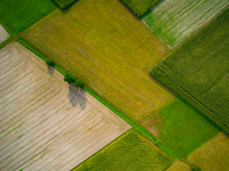 Aerial view of a field. Autumn season.