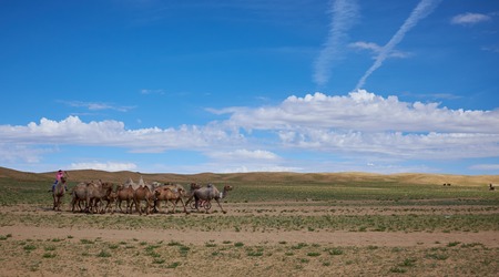 nice typical Mongolian landscape of the yurt. Mongolian steppeの写真素材