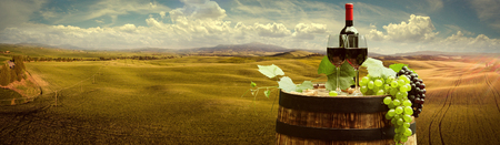 Red wine with barrel on vineyard in green Tuscany, Italyの写真素材