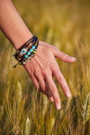 Hand in wheat field.の写真素材