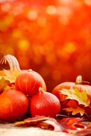 pumpkins on a table with autumn leavesの写真素材
