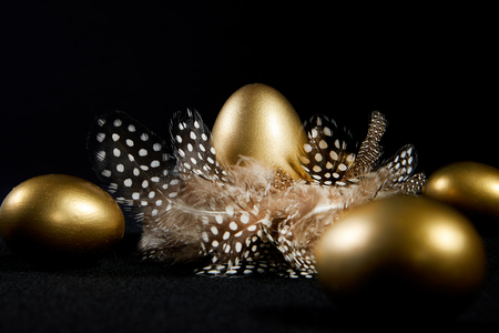  Creatively lit golden goose eggs in a real birds nest black backgroundの写真素材