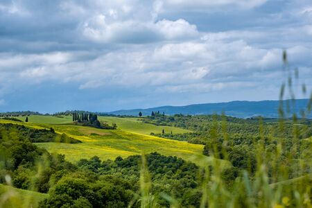 Rural Countryside In Italy Region Of Tuscanyの写真素材