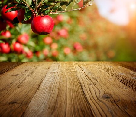 table space and apple garden of trees and fruits