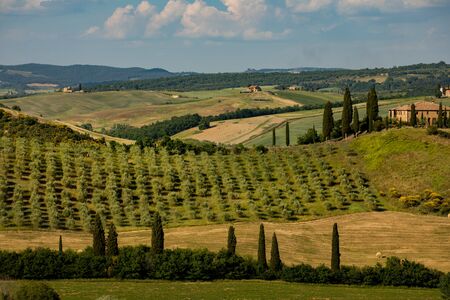 Tuscany - Landscape panorama, hills and meadow, Toscana - Italy