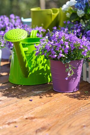 Gardening - Set Of Tools For Gardener And Flowerpots In Sunny Gardenの写真素材