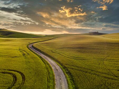 Impressive spring landscape,view with cypresses and vineyards ,Tuscany,Italy