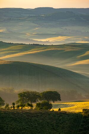 Gorgeous greens in the landscape and with light painted.の写真素材