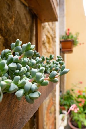 STREETS OF A SMALL ITALIAN TOWN, tuscanyの写真素材