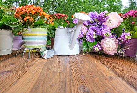 watering can and flower seedlings on a wooden tableの写真素材