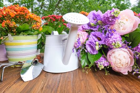 watering can and flower seedlings on a wooden tableの写真素材